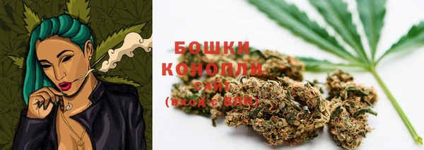 прущие грибы Бугульма
