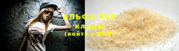 прущие грибы Бугульма