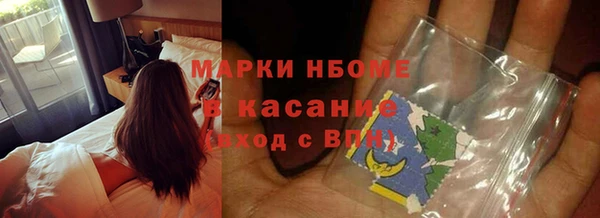 прущие грибы Бугульма