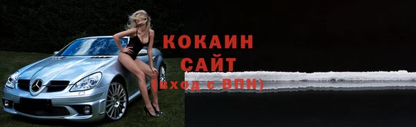 mdpv Бородино