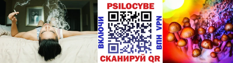 Псилоцибиновые грибы прущие грибы  Дмитров 